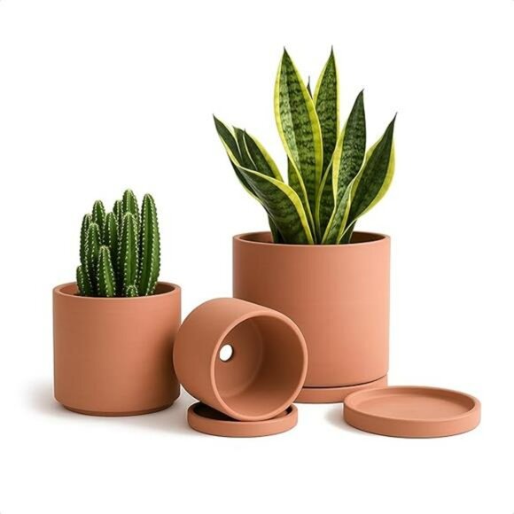 Terracotta Planter Pots with Drainage and Saucers Set for Succulents Cactus - Picture 7 of 7